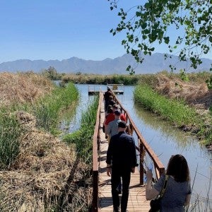 Several people are walking away from the camera on an elevated wooden walkway with a river in the foreground and mountains in the distance.