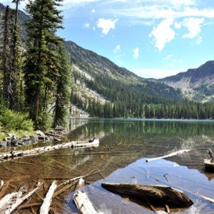 A landscape including a lake, forest, mountains, and blue sky