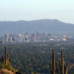 A city skyline with cacti in the foreground