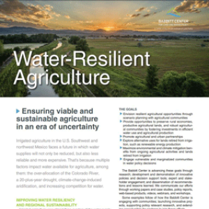 Thumbnail image for a fact sheet about water-resilient agriculture