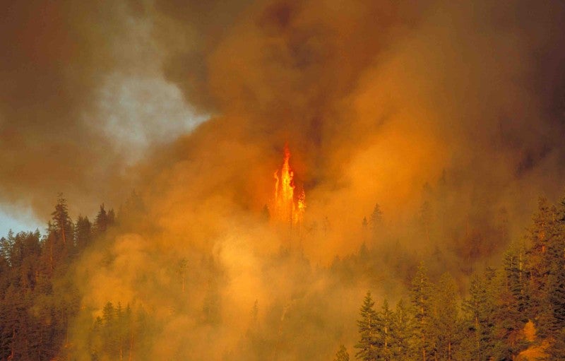 Forest Fire, Penticton, BC, Canada Forest Fire, Penticton, BC, Canada