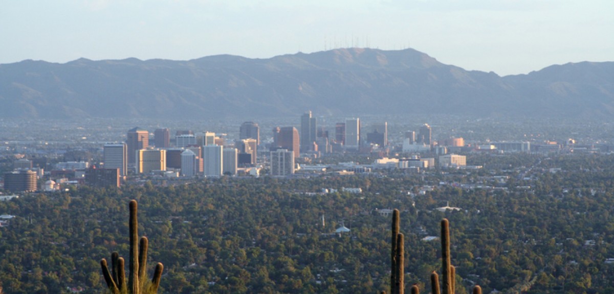 A city skyline with cacti in the foreground